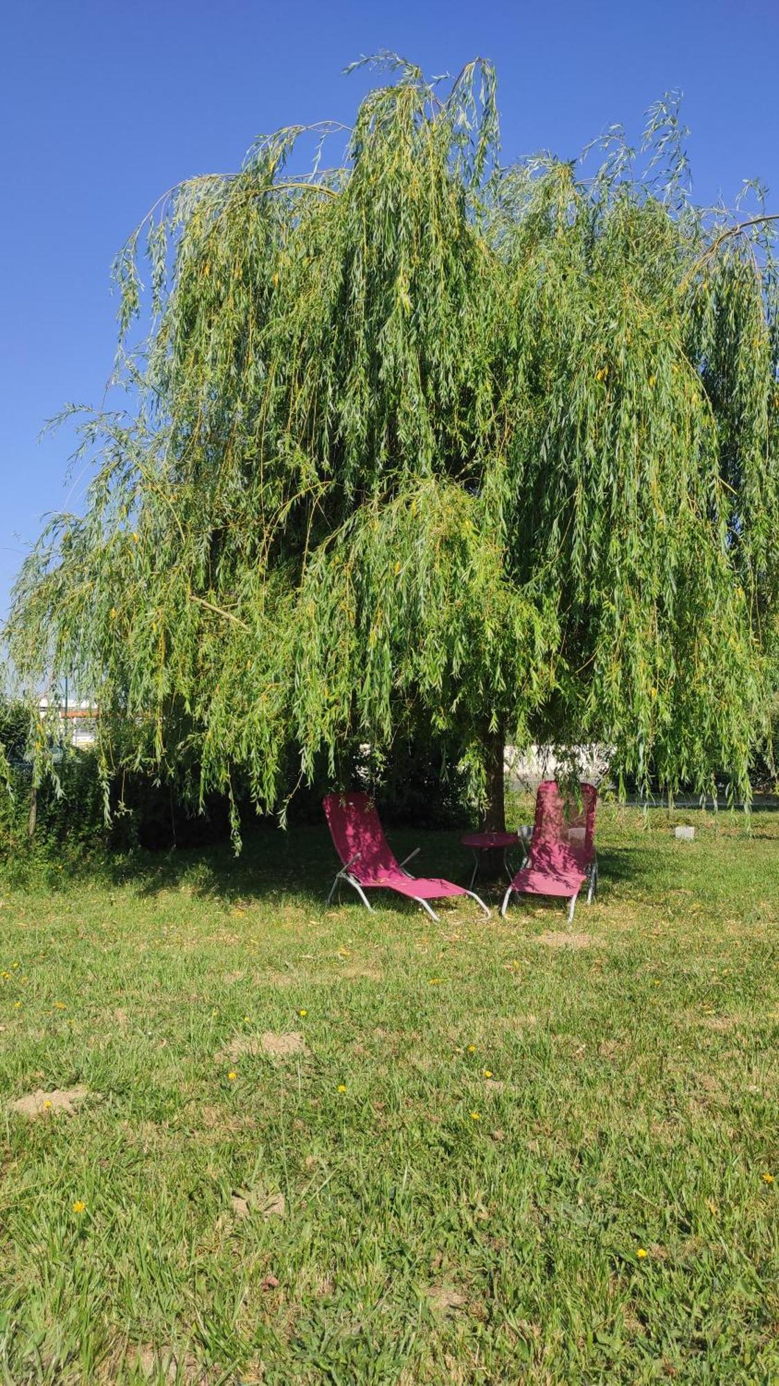 Les Bordaiseries La Réorthe Zewnętrze zdjęcie